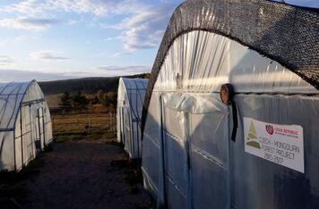 Projekt ČRA v Mongolsku vyústil v mezinárodní lesnický workshop