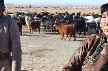 Mongolští pastevci umí nyní lépe přečkat drsnou zimu, pomáhají jim s tím Češi