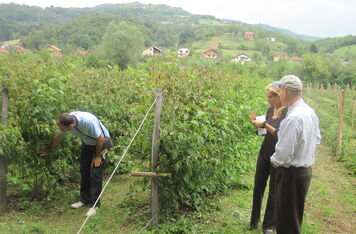 Společné aktivity ČRA, Sida a USAID v Bosně a Hercegovině nabývají konkrétních obrysů