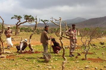 Stačí chudým lidem rozdávat peníze?