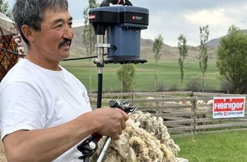 V Kyrgyzstánu úspěšně pokračuje projekt KYRINO podpořený ČRA a zaměřený na prosazení místní merino vlny na globálním trhu