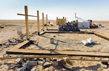 ČRA podporuje návrat koně Převalského do volné přírody