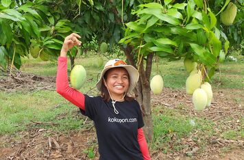 S podporou ČRA pomůže česká firma BRAINCHAIN kambodžským farmářům s exportem zpracovaných kešu ořechů a sušeného manga