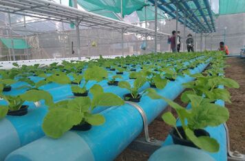 V Kambodži probíhá úspěšně projekt podporující místní vesničany k přechodu na čistou energii