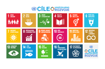 Lze na boji s chudobou vydělat?