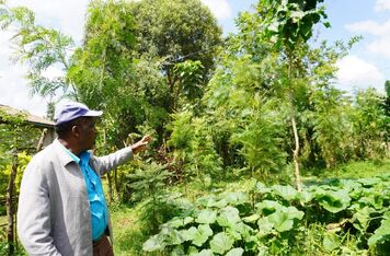 Farmáři v Etiopii se s podporou ČRA učí čelit dopadům klimatické změny