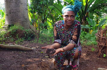 Člověk v tísni s podporou ČRA mění tvář etiopské krajiny pomocí stromů odolných suchu