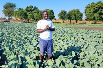 S podporou ČRA pomáhá Člověk v tísni v Zambii místním zemědělcům zvýšit odolnost vůči změně klimatu a zajistit potravinovou bezpečnost
