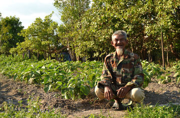 Vysídlené komunity rybářů v Kambodži začínají nový život